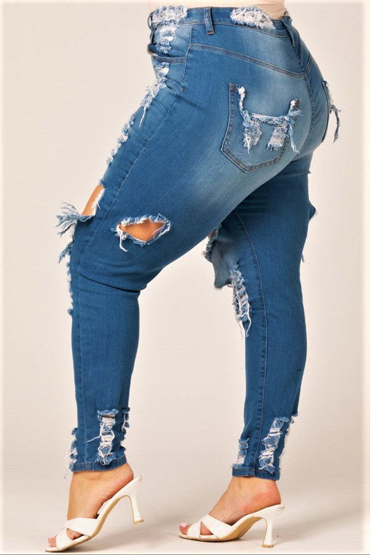 Destroyed Jeans (Plus)